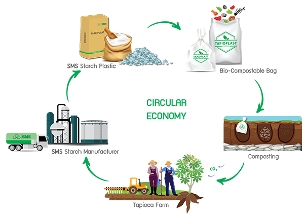 SMS Circular Economy starting from cassava root